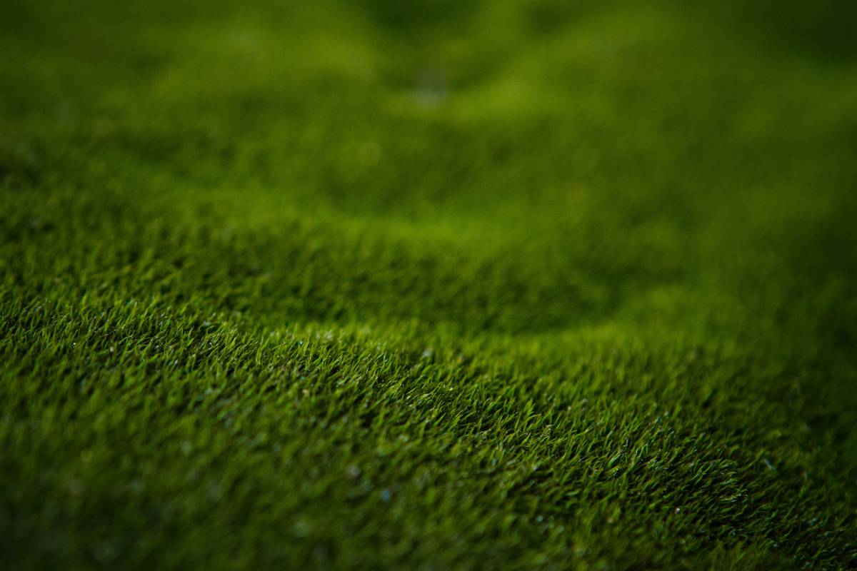 Joe Dudeck Offidk Ow5s Unsplash