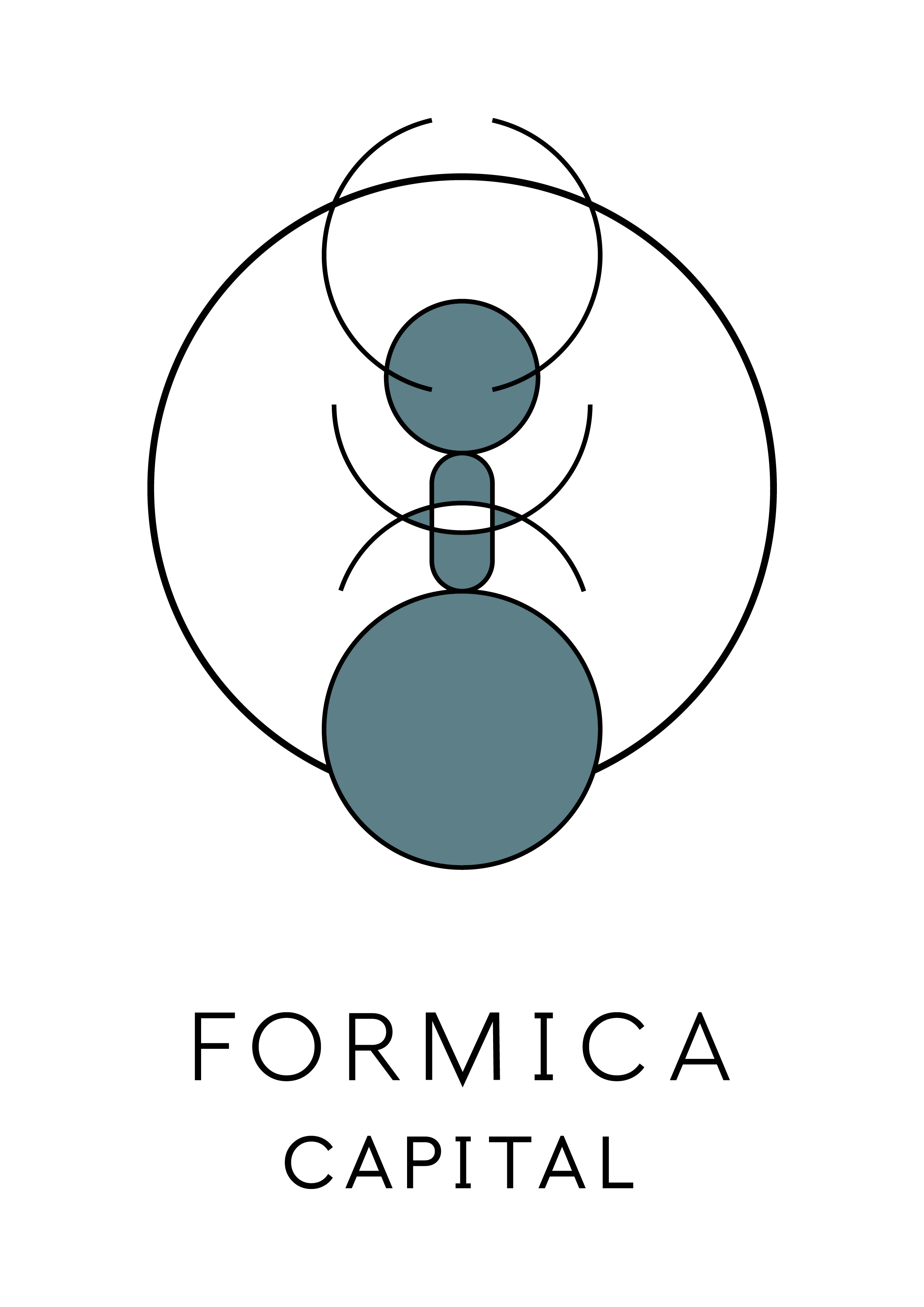 Formica Capital